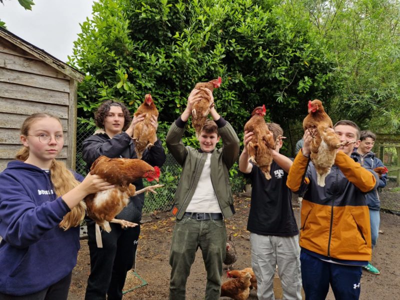Les élèves ont exploré l'Irlande à travers des visites culturelles, une immersion dans les traditions locales.