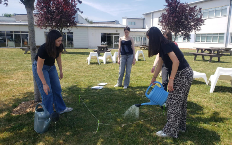 Élèves du Lycée Jean-Paul II identifiant des vers de terre pour une étude de la biodiversité des sols en cours de SVT.