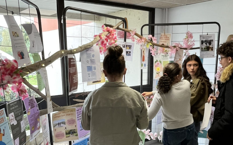 Élèves en Métiers de la Relation Client du Lycée de La Salle présentant leur stand zen et affiches sur la santé mentale pour la semaine de sensibilisation.